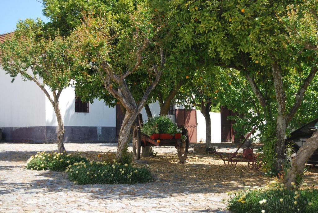 Quinta De Tourais Hotel Lamego Buitenkant foto