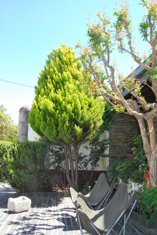Quinta De Tourais Hotel Lamego Buitenkant foto