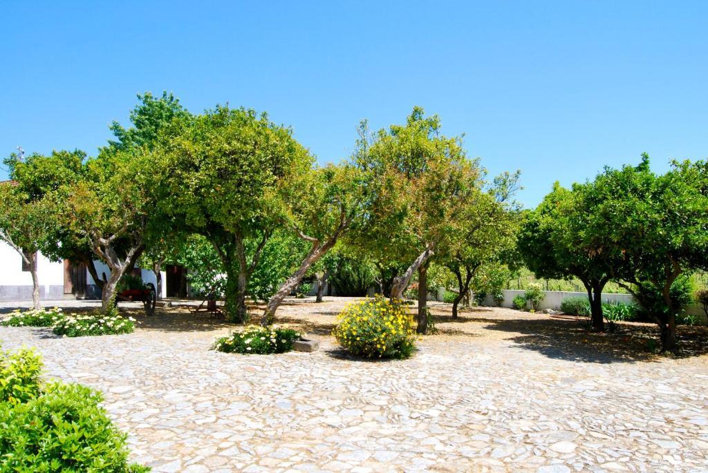 Quinta De Tourais Hotel Lamego Buitenkant foto