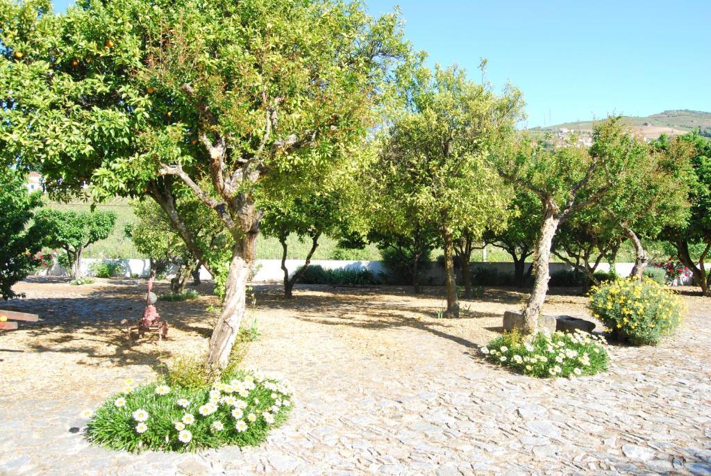 Quinta De Tourais Hotel Lamego Buitenkant foto